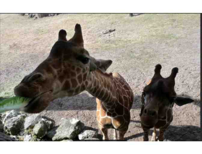 Jacksonville Zoo and Gardens - FL (supports Saving Grace Sanctuary)