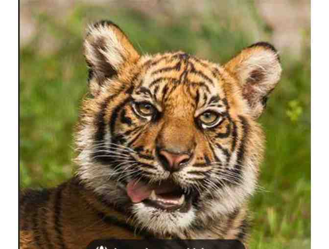 Jacksonville Zoo and Gardens - FL (supports Saving Grace Sanctuary)