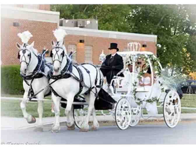 Carriage Ride In Shartlesville by Bee Tree Trails