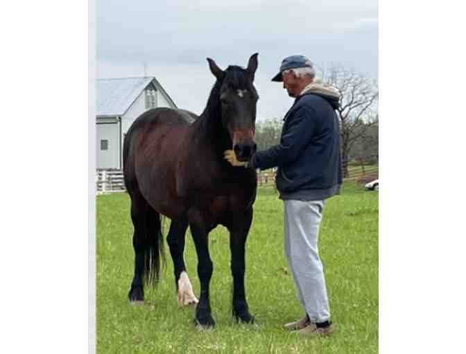 Fund a Need for Saving Grace Sanctuary - Help with Forever Care