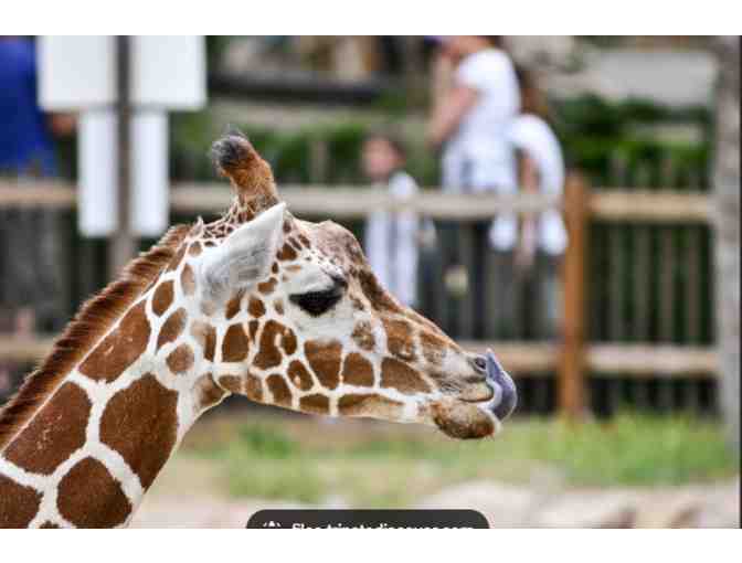 Hogle Zoo - Salt Lake City UT