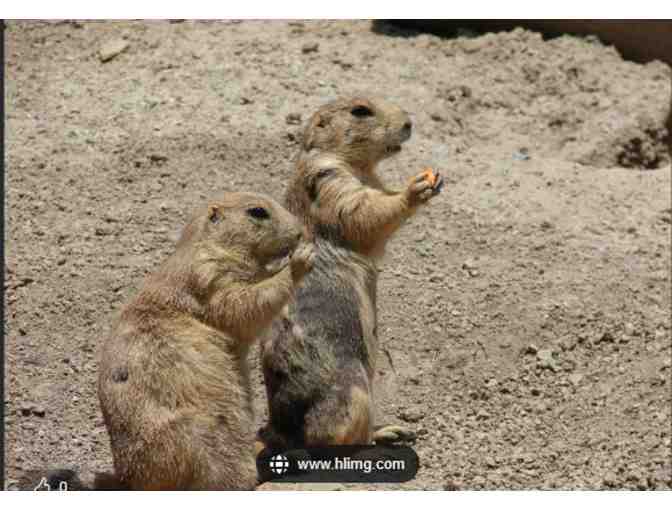 Hogle Zoo - Salt Lake City UT