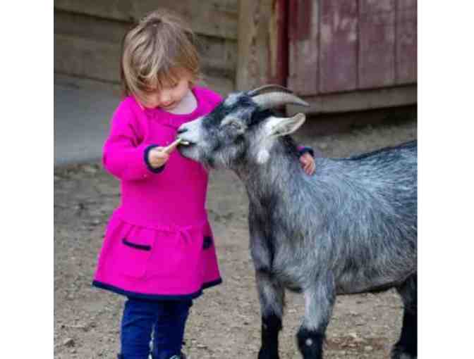 Lake Tobias Wildlife Park - Halifax, PA