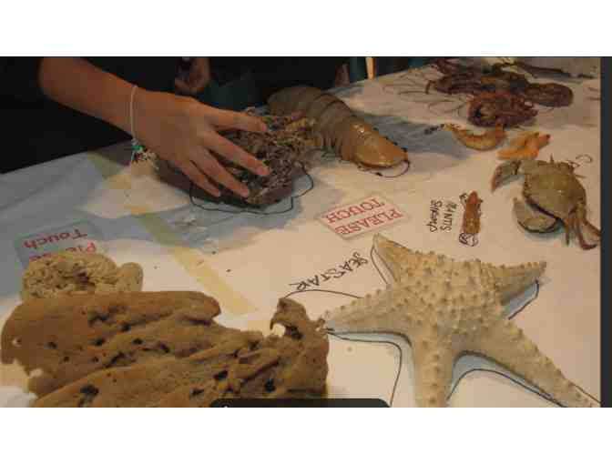 Dauphin Island Sea Lab - Alabama Aquarium - AL