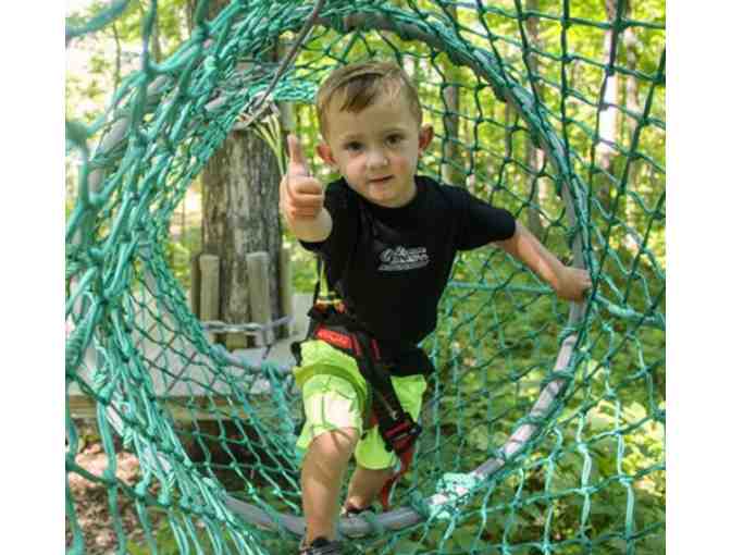 Treescape Aerial Adventure Park - NJ