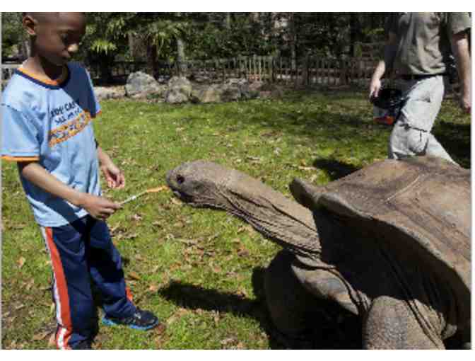 Zoo Atlanta - GA