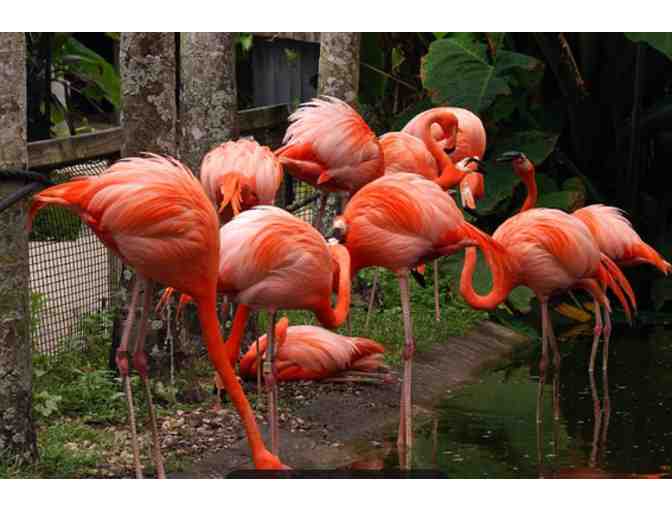 Flamingo Gardens - Davie FL