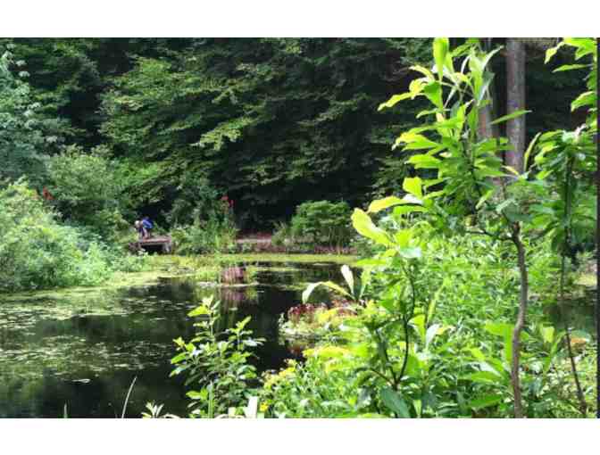 Garden in the Woods - Framingham MA