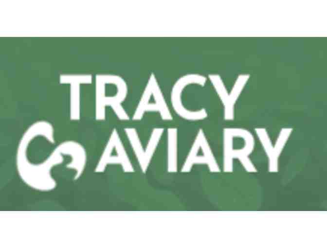 Tracy Aviary - UT