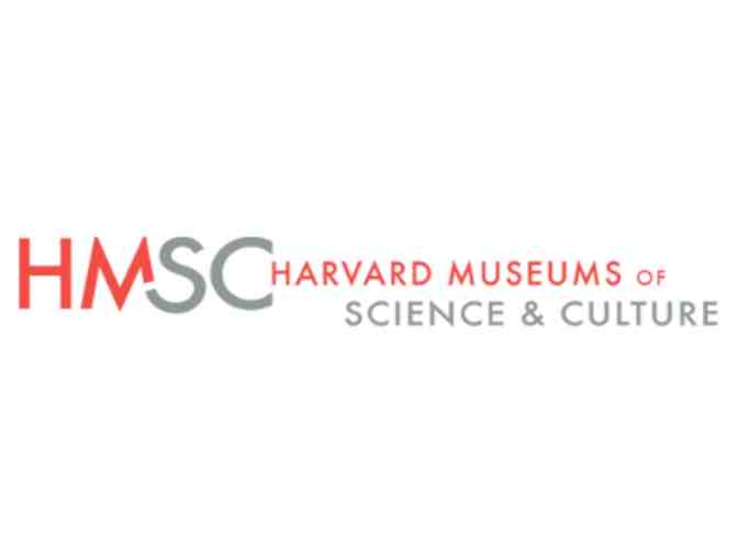 Harvard Museums of Science and Culture