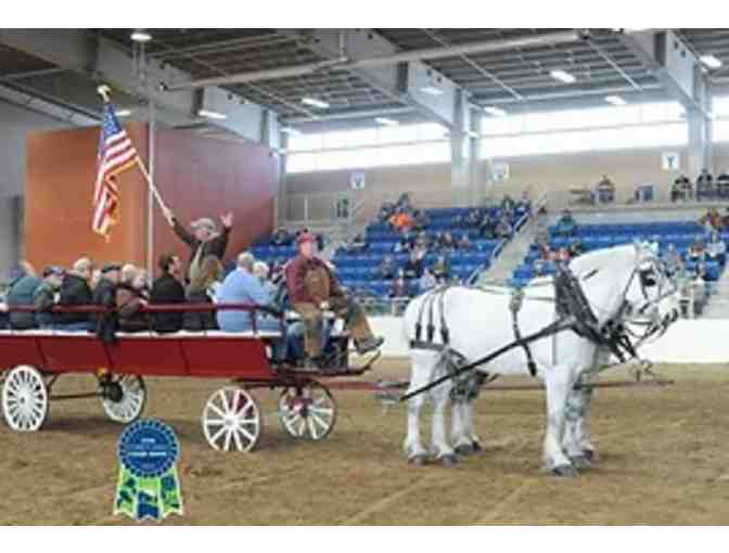 Bee Tree Trails Carriage Ride In Shartlesville