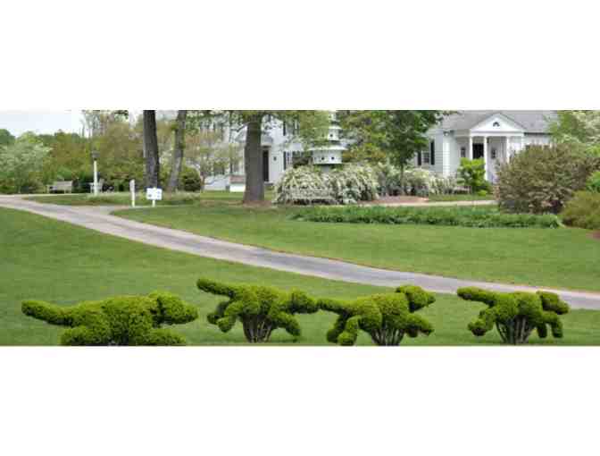 Ladew Topiary Gardens MD