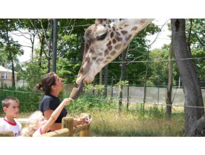 Racine Zoo - WI