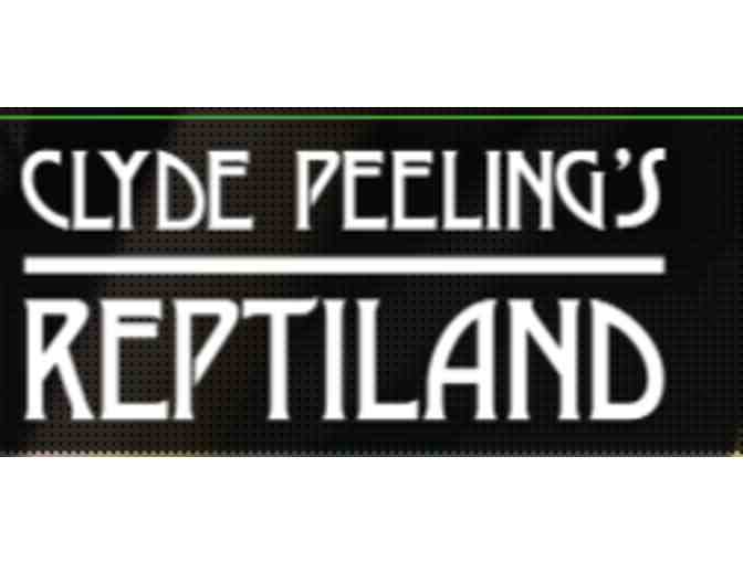 Clyde Peeling's Reptiland - PA