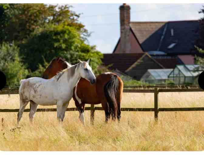 TP 3 Nights in Kentucky with Horse Farm Tour! - KY