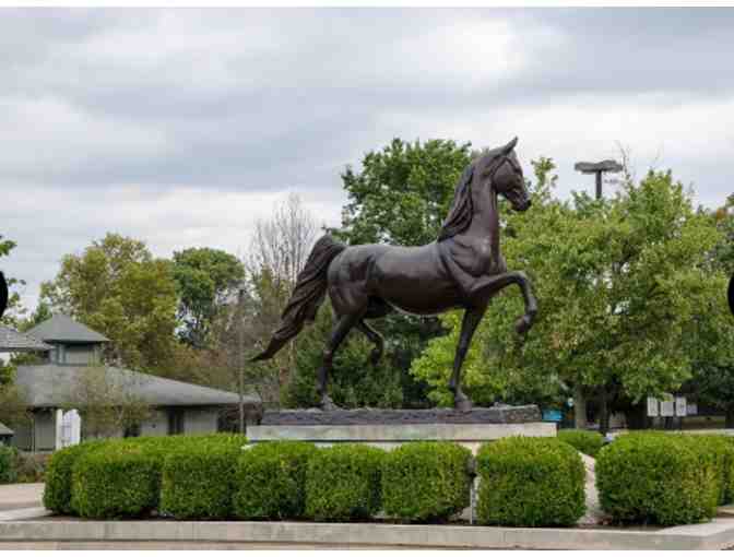 TP 3 Nights in Kentucky with Horse Farm Tour! - KY