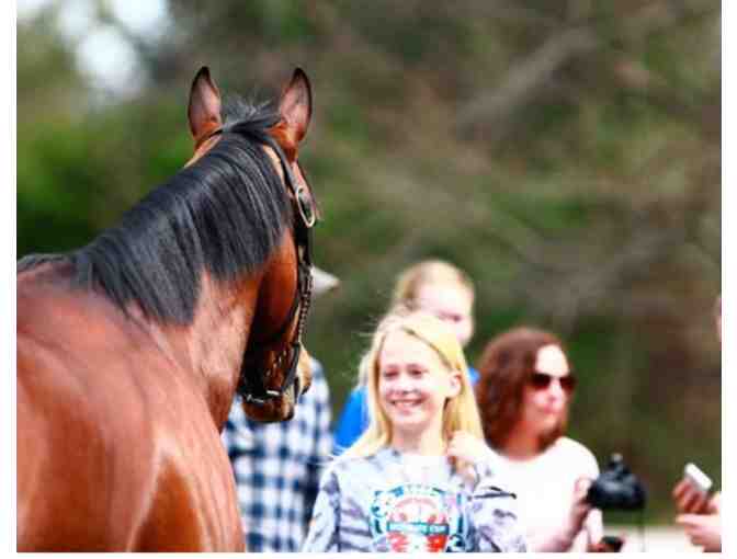 TP 3 Nights in Kentucky with Horse Farm Tour! - KY