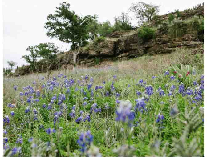 TP 2 Nights Glamping in Texas Hill Country! - TX