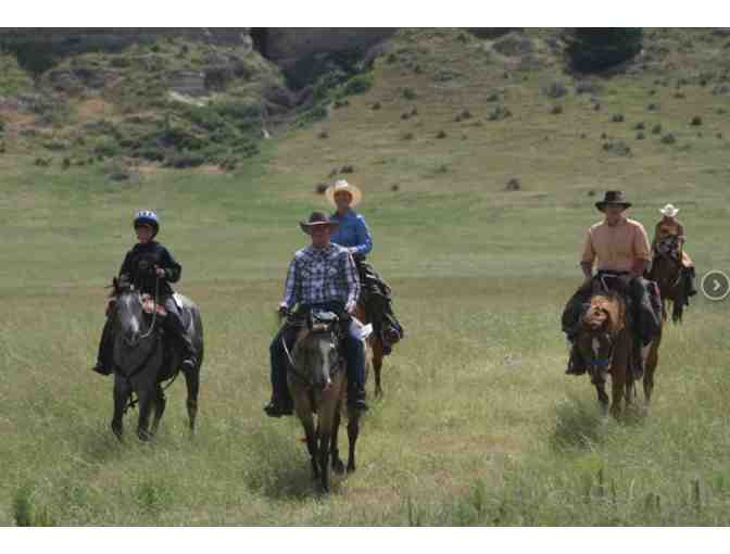 TP Stay at Working Cattle Ranch for 4 Guest - NE