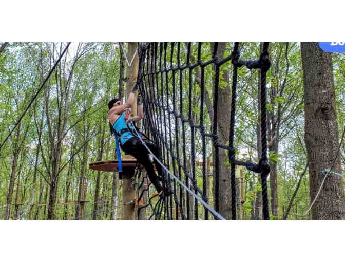 Tree Trekkers - Frederick MD