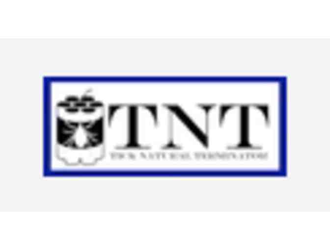 TNT Tick Powder - NY