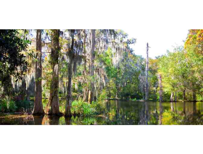 Magnolia Plantation & Gardens - SC