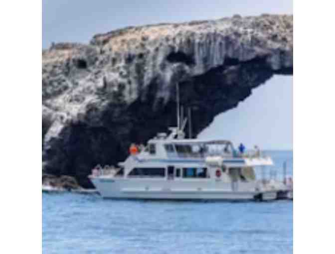 Island Packer Cruises - CA