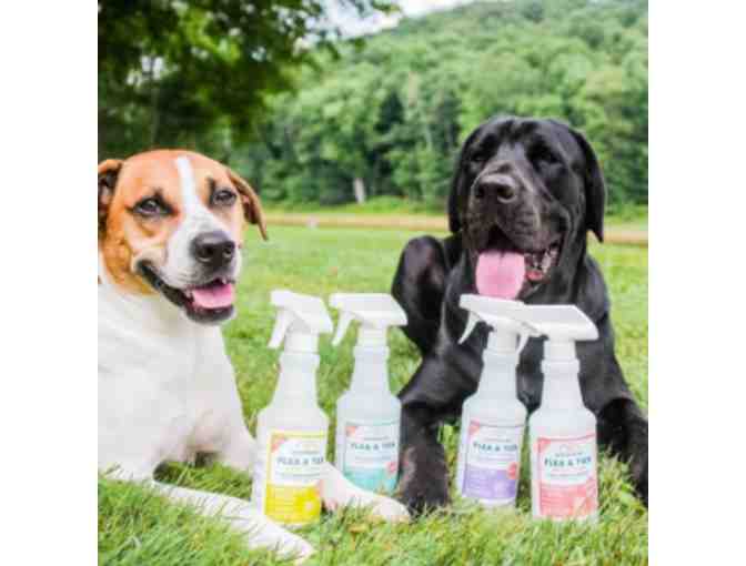 Wondercide Flea and Tick Spray - Amazing Stuff