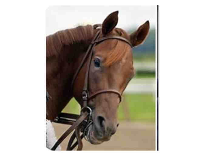 Meet and Greet Photo Session with Smarty Jones