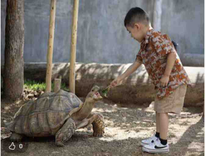 Houston Interactive Aquarium and Animal Preserve - TX