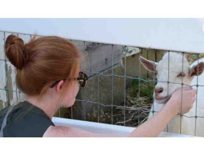 Amish Farm and House - Lancaster, PA