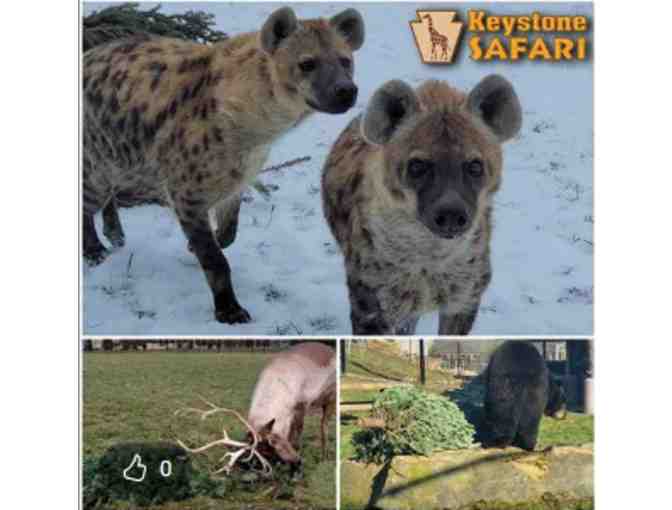 Keystone Safari - Grove City, PA