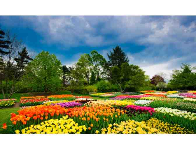 Longwood Gardens - Kennett Square, PA