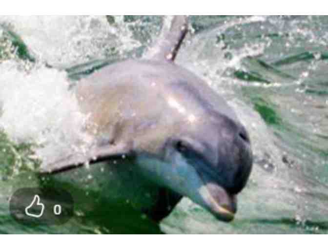 Atlantic City Cruises - Atlantic City, NJ