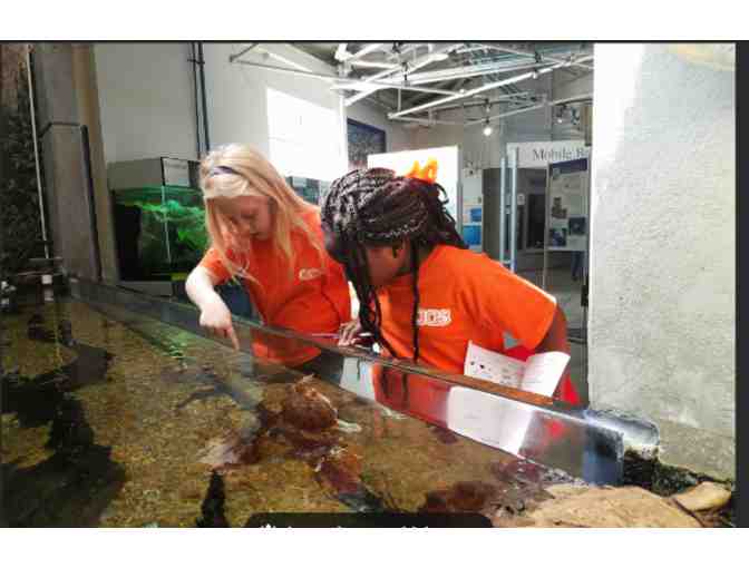 Dauphin Island Sea Lab - Alabama Aquarium - Dauphin Island, AL