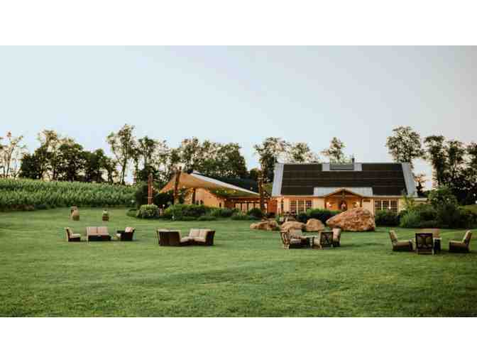 Black Ankle Vineyards - Mt Airy, MD