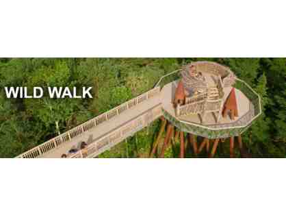 The Wild Center - Tupper Lake, NY