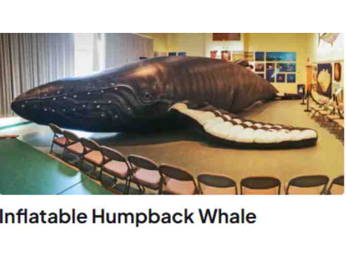 Cape Cod Museum of Natural History - Brewster, MA