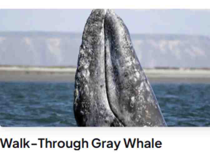 Cape Cod Museum of Natural History - Brewster, MA