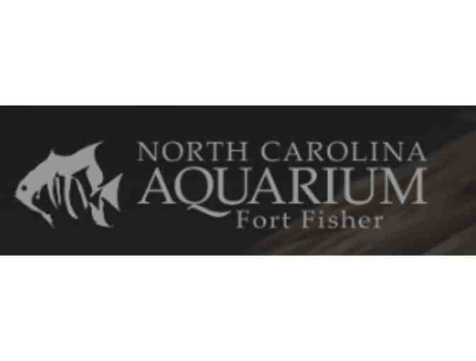 North Carolina Aquarium at Fort Fisher - Kure Beach, NC
