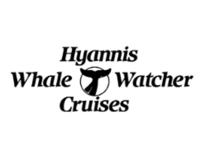 Hyannis Whale Watch Cruises - Barnstable, MA