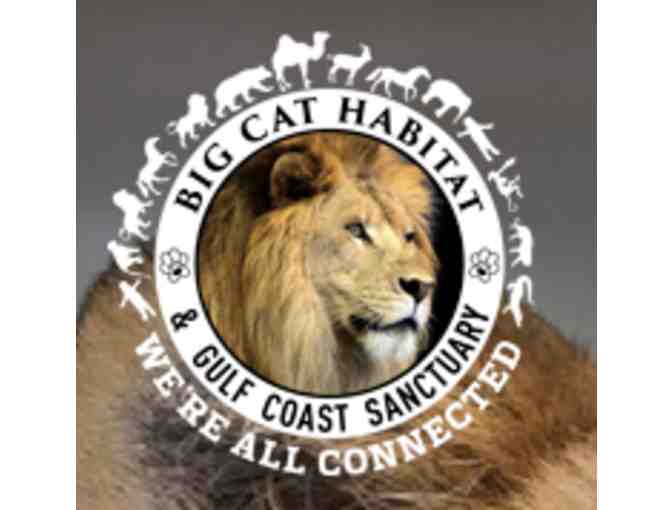 Big Cat Habitat and Gulf Coast Santuary - Sarasota, FL