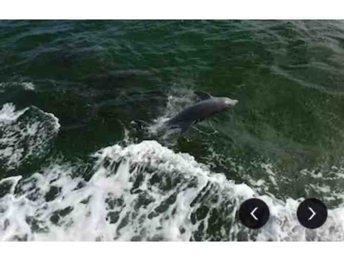 Key Largo Princess Glass Bottom Boat - Key Largo, FL