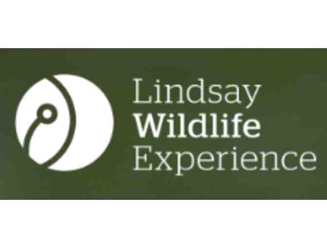 Lindsay Wildlife Experience - Walnut Creek, CA