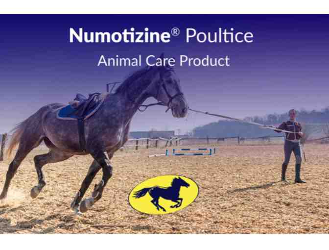 Mane N Tail Products for Your Horse