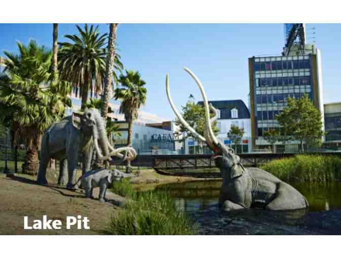 Natural History Museum LA or La Brea Tar Pits - CA