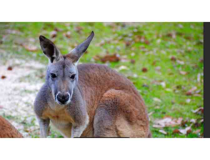 Birmingham Zoo - Birmingham, AL - Photo 2