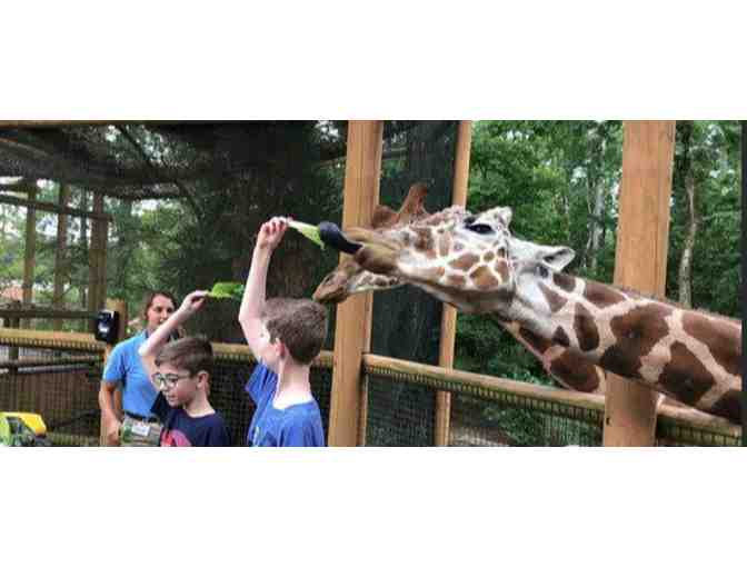 Birmingham Zoo - Birmingham, AL - Photo 3