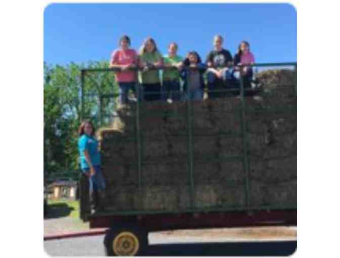 Fund A Need for CATRA - Hay - Photo 1