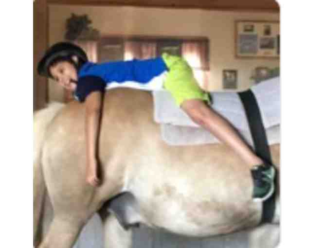 Fund a Need for CATRA - Rider Tuition Assistance - Photo 8